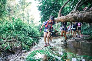 BIB: 
                            <button type="button" onclick="openModal(25447884)" class="btn btn-primary btn-sm float-right btn-popup" data-toggle="modal" data-target=".modal-high-quality">
                        <i class="fas fa-shopping-cart"></i> Add to Cart
                    </button>
                                            <button type="button" onclick="isThisMe(25447884, true)" class="btn btn-success btn-sm float-right btn-popup btn-isme hidden" data-toggle="tooltip" data-placement="bottom" title="นี่คือรูปของคุณใช่ไหม คลิกที่นี่เพื่อเอาเข้าอัลบั้ม">
                        <i class="fas fa-plus"></i> Add to album
                    </button>
                    <button type="button" onclick="isThisMe(25447884, false)" class="btn btn-warning btn-sm float-right btn-popup btn-isnotme hidden">
                        <i class="fas fa-ban"></i> Remove from album
                    </button>